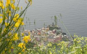 Cà gialla de Drignana